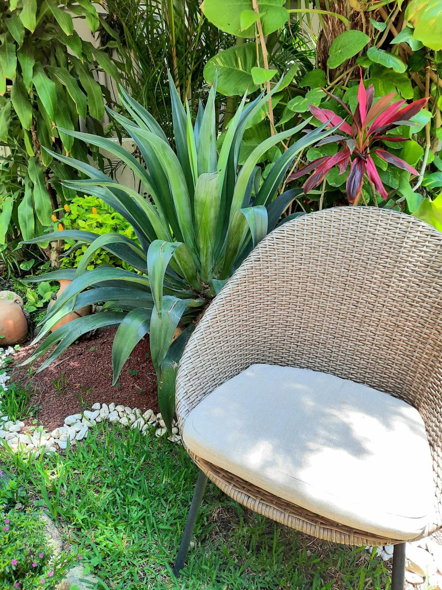 Casa Los Cantaros Hotel Boutique Oaxaca Exteriör bild